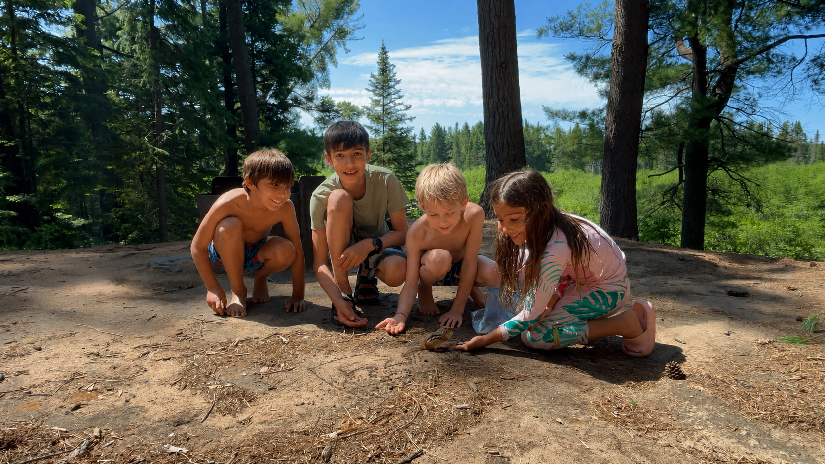 Four children crouched together, quietly observing a chipmunk in a sunlit forest clearing
