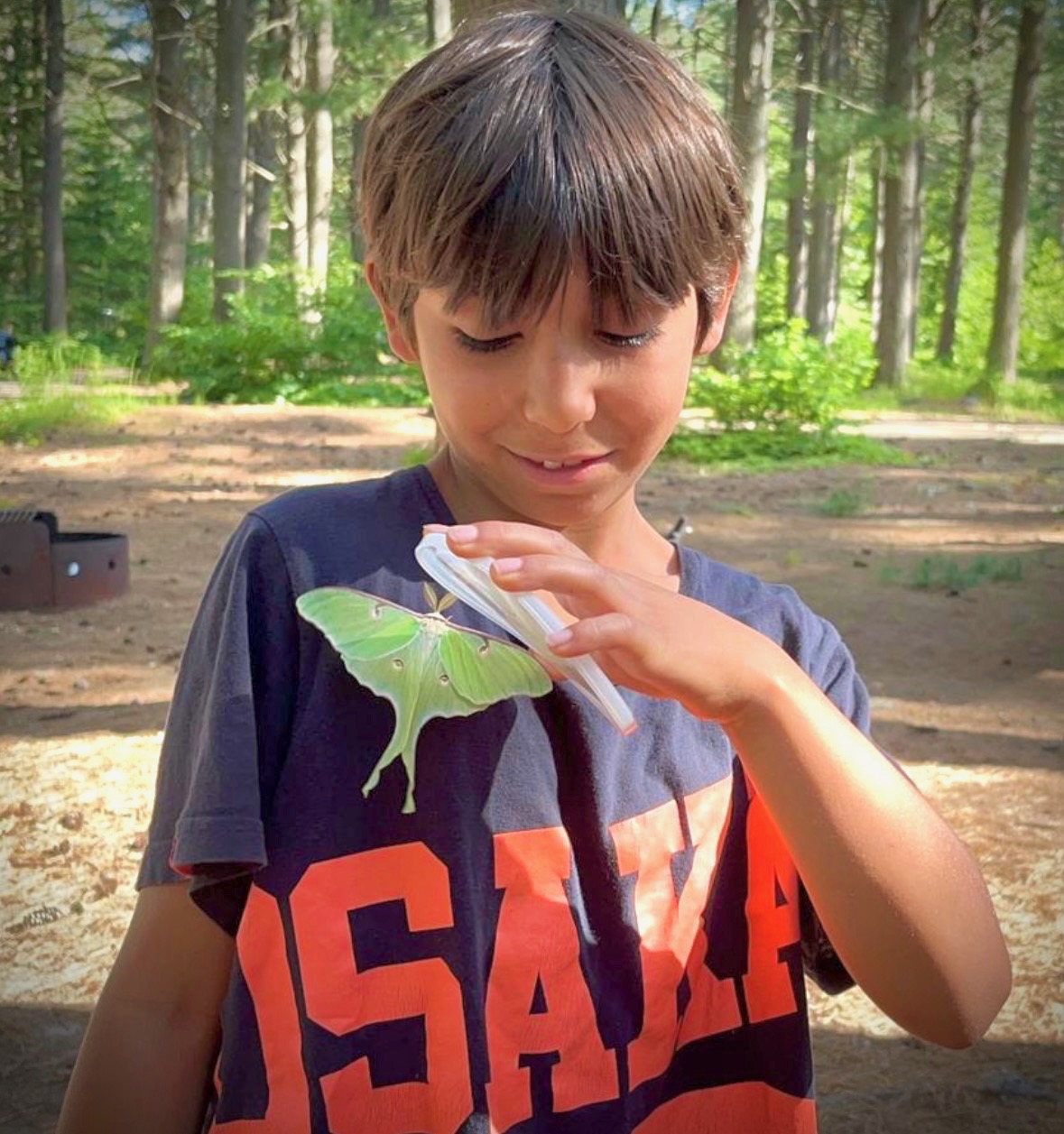 A child holding a luminous green luna moth — emergence and transformation