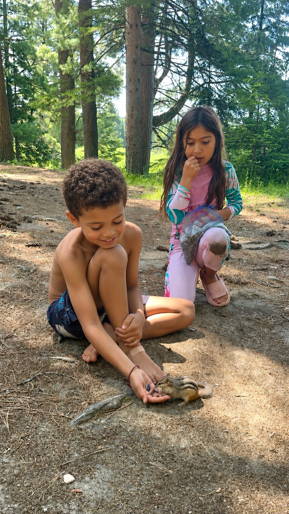 A child gently feeding a chipmunk from an open hand