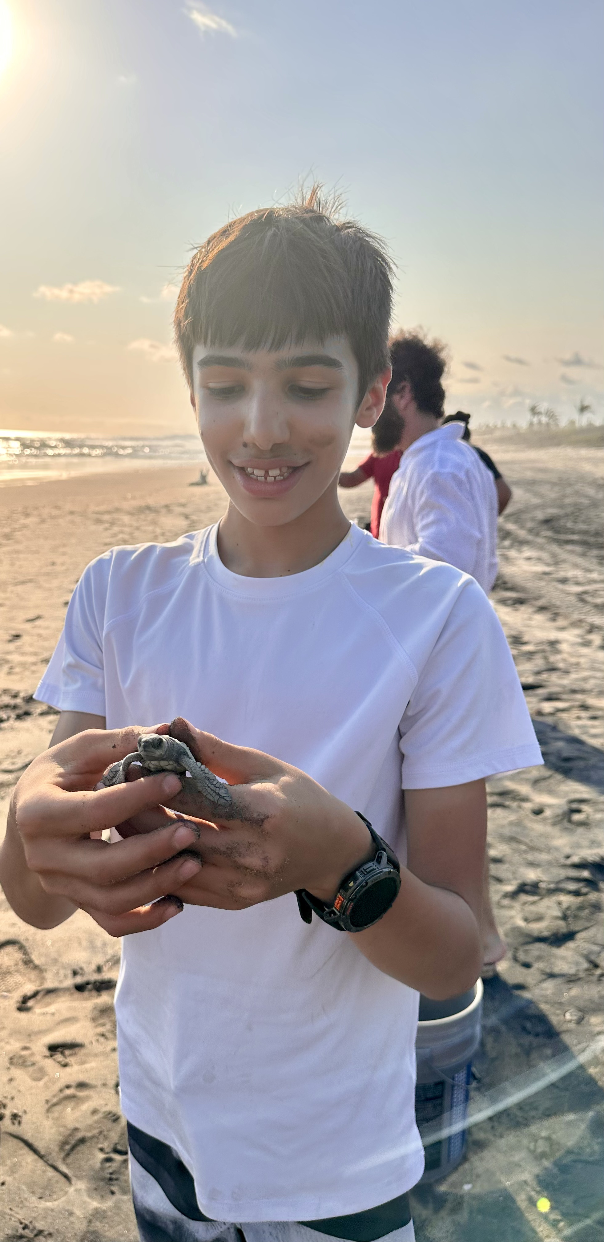 A child gently holding a baby sea turtle before its release — turtle conservation at MUSA